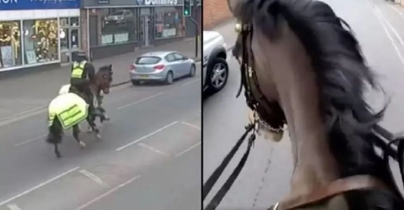 Καταδίωξη βγαλμένη από… ταινία - Αστυνομικοί με άλογα κυνηγούν οδηγό επειδή μιλά στο τηλέφωνο – Δείτε βίντεο
