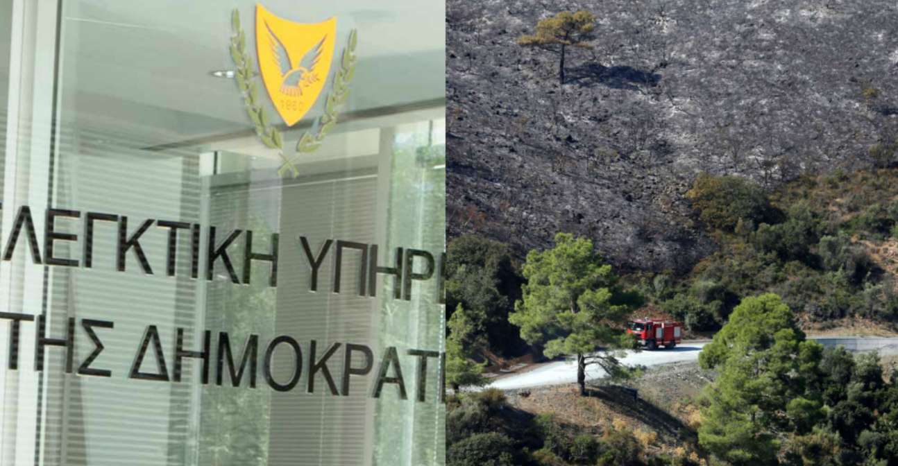 Έκθεση-καταπέλτης για το Τμήμα Δασών: Προβληματικές συμβάσεις, καθυστερημένα έσοδα και ελλιπής έλεγχος