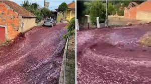 Πόλη στην Πορτογαλία πλημμύρισε από κόκκινο κρασί - Βίντεο