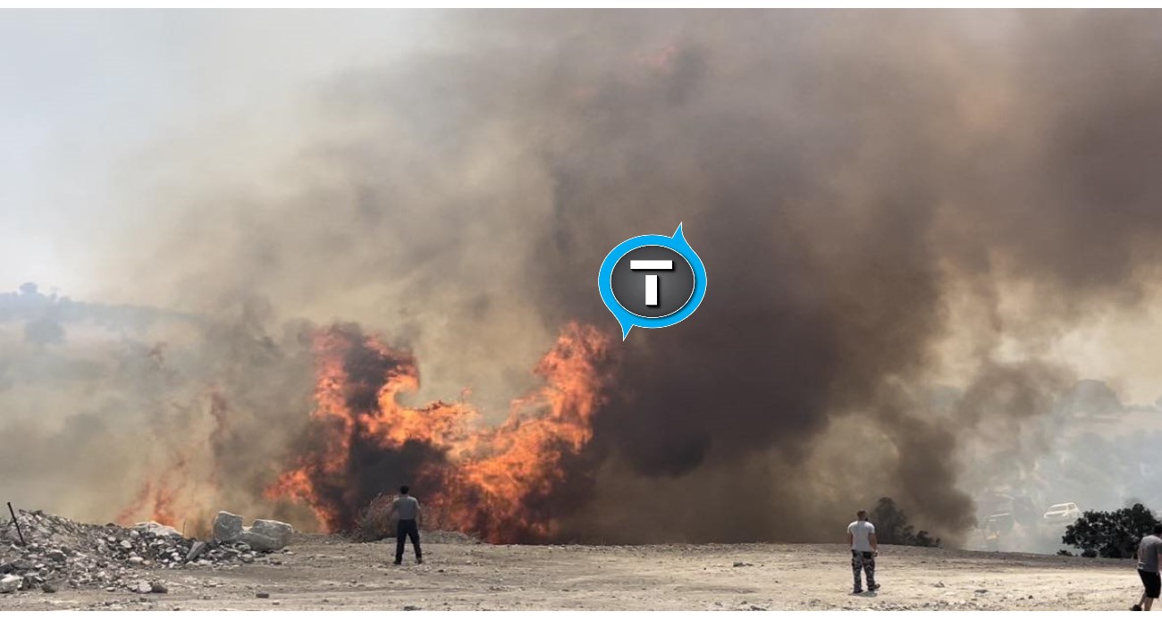 Τέθηκε υπό έλεγχο η φωτιά στην Κοφίνου - Παραμένουν στο σημείο οι δυνάμεις πυρόσβεσης - Δείτε βίντεο και φωτογραφίες 