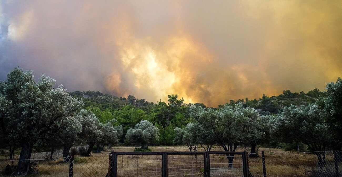 Φωτιές στην Ελλάδα: Κάηκαν 470.000 στρέμματα τον Ιούλιο - Χάθηκαν 135.000 στρέμματα «καθαρό» δάσος στη Ρόδο