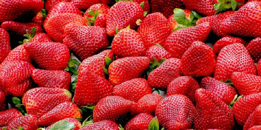 Αυστραλία: Λύθηκε εν μέρει το μυστήριο με τις βελόνες σε φράουλες