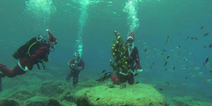 Με στολή Άγιου Βασίλη γιόρτασαν τα Χριστούγεννα οι δύτες στο βυθό της θάλασσας - Εντυπωσιακές φωτογραφίες