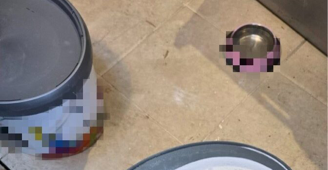 Εντοπίστηκε τεράστια ποσότητα κοκαΐνης στη Λεμεσό - Χειροπέδες σε τέσσερα πρόσωπα -Φωτογραφίες 