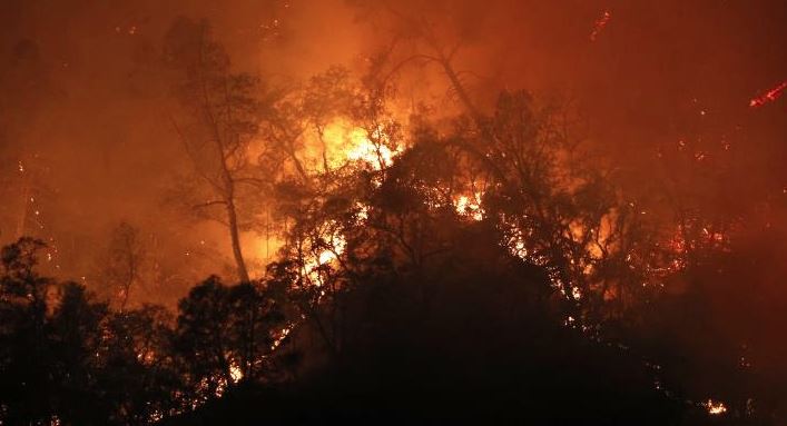 Η Βολιβία κηρύσσει «κατάσταση εθνικής καταστροφής» λόγω πυρκαγιών
