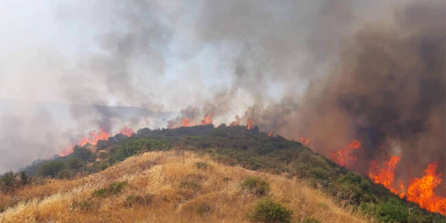 ΛΕΜΕΣΟΣ: Τέθηκε υπό έλεγχο πυρκαγιά στο χωριό Ανώγυρα - Ο απολογισμός