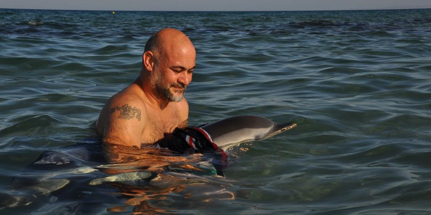 Κατεχόμενα: Λουόμενοι εντόπισαν δελφίνι που εγκλωβίστηκε σε παραλία του Τρικώμου - ΦΩΤΟΓΡΑΦΙΕΣ