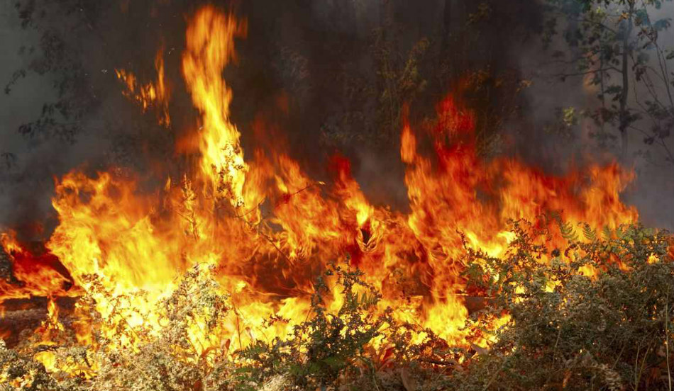 Επ. ΛΑΡΝΑΚΑΣ: Εκτός ελέγχου πυρκαγιά στο χωριό Ορά – Μάχη με τις φλόγες δίνουν 30 περίπου πυροσβέστες και εναέρια μέσα