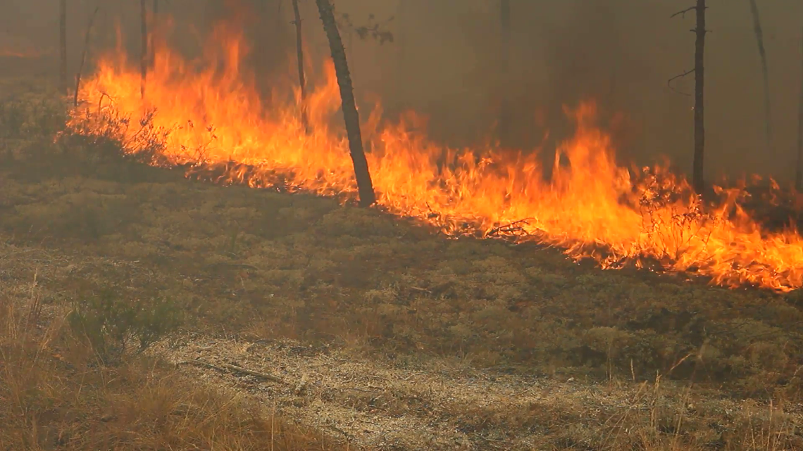 ΛΥΘΡΟΔΟΝΤΑΣ: Δασική πυρκαγιά κατέκαψε έξι εκτάρια βλάστησης – Πάνω από 40 άνδρες της Πυροσβεστικής και του Τμήματος Δασών επιχείρησαν για την κατάσβεσή της