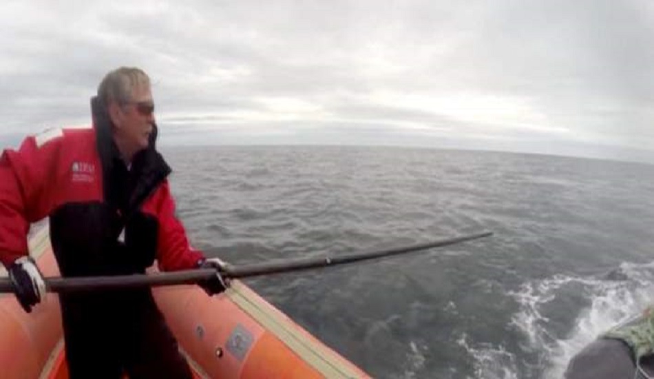 Τραγωδία στον Καναδά: Τον σκότωσε η φάλαινα που μόλις είχε σώσει - VIDEO