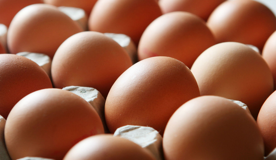 Συναγερμός σε Γερμανία, Ολλανδία και Βέλγιο μετά τον εντοπισμό εντομοκτόνου σε αυγά