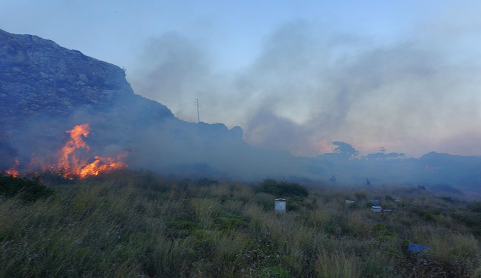 ΕΛΛΑΔΑ: Μάχη με τις φλόγες σε Ανάβυσσο και Σπέτσες