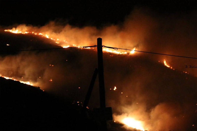 ΚΕΦΑΛΟΝΙΑ: Οι πυροσβέστες έσωσαν τα σπίτια - Μεγάλη η φωτιά