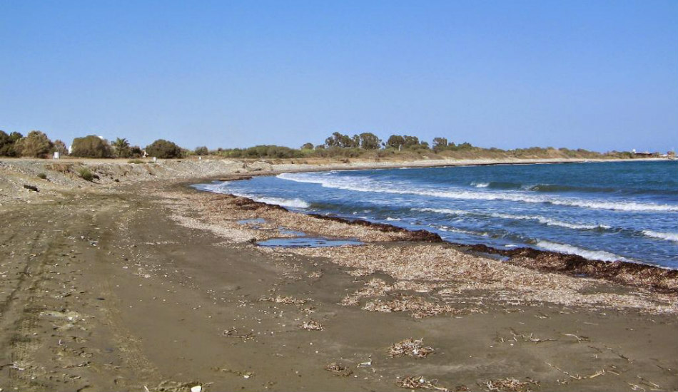 Φωνάζουν οι Οικολόγοι για την ακαθαρσία στην παραλία Μαζωτού
