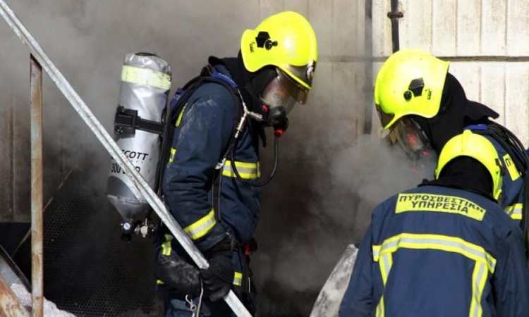 ΛΕΜΕΣΟΣ- ΦΡΙΚΗ: Έβαλαν φωτιά και έκαψαν 9 σκύλους μέσα σε ξύλινο υποστατικό