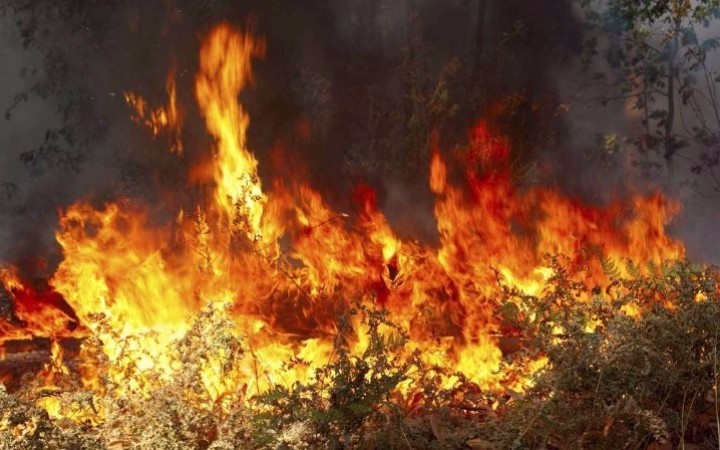 ΛΕΜΕΣΟΣ: Πυρκαγιά στην Άλασσα – Μάχη με το χρόνο πριν σκοτεινιάσει – Στην «μάχη» και πτητικά μέσα