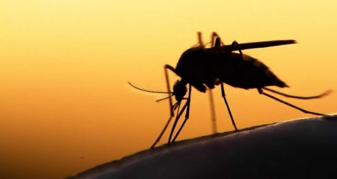 ΠΡΟΣΟΧΗ: Κρούσματα ελονοσία στα κατεχόμενα, προειδοποιεί το Υπουργείο Υγείας