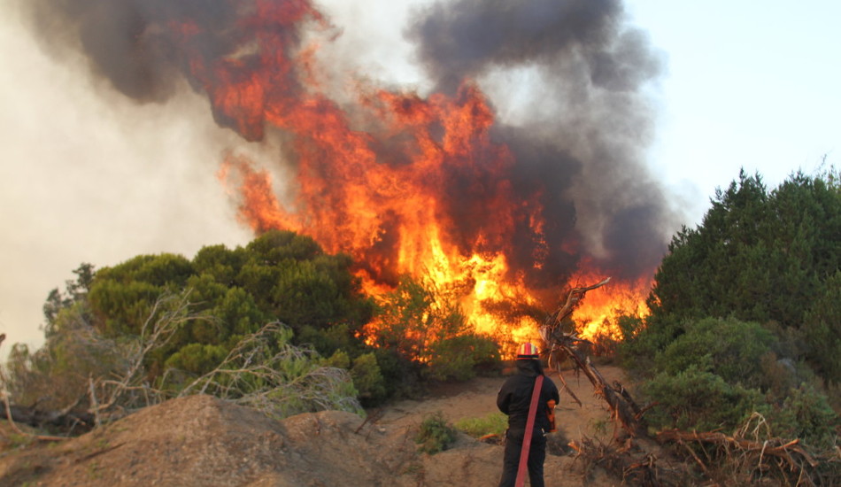 ΠΥΡΚΑΓΙΑ ΠΑΦΟΥ: Τέθηκε υπό έλεγχο η φωτιά – Παραμένουν δυνάμεις στο μέρος