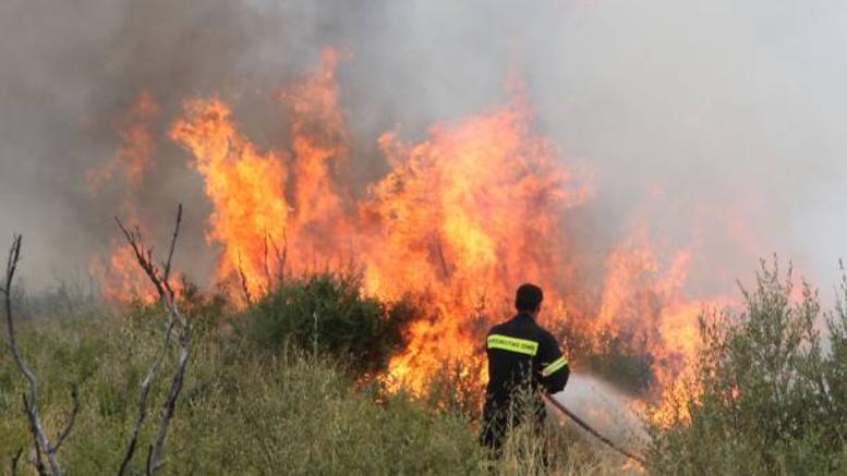Υπό πλήρη έλεγχο η φωτιά στην περιοχή Δρούσειας, Κρήτου Τέρρας