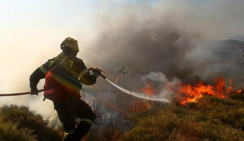 ΝΕΚΡΗ ΖΩΝΗ  - ΠΟΤΑΜΙΑ: Υπό έλεγχο τέθηκε η πυρκαγιά 