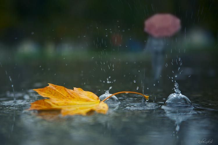 ΚΑΙΡΟΣ: Μπαίνουμε για τα καλά σε φθινοπωρινή διάθεση - Συννεφιά και βροχή προσεχώς
