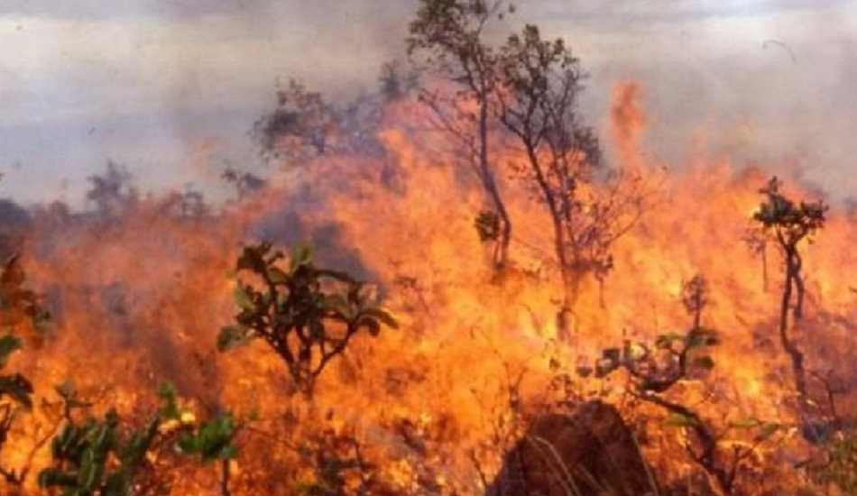 Υπό έλεγχο φωτιά στο Μαναγρούλι και στο κρατικό Δάσος Αλέξιγρος που κινητοποίησε οχτώ πυροσβεστικά οχήματα και 26 δασοπυροσβέστες