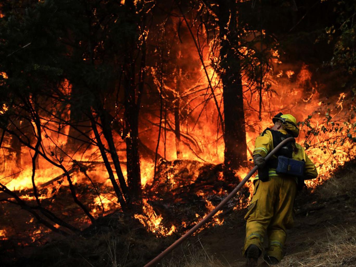 Τους 33 έχουν φτάσει οι νεκροί από τις πυρκαγιές στην Καλιφόρνια - Περίπου 5.700 σπίτια και καταστήματα έχουν καταστραφεί