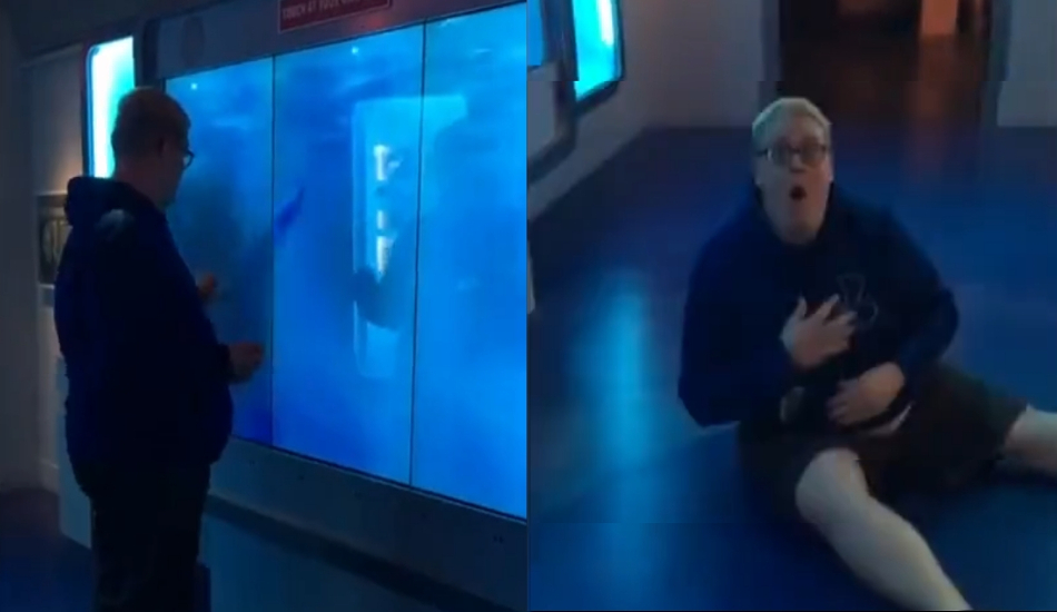 Απίστευτη φάρσα με καρχαρία σε μουσείο – Σωριάστηκε στο έδαφος και κρατούσε την καρδιά του - VIDEO