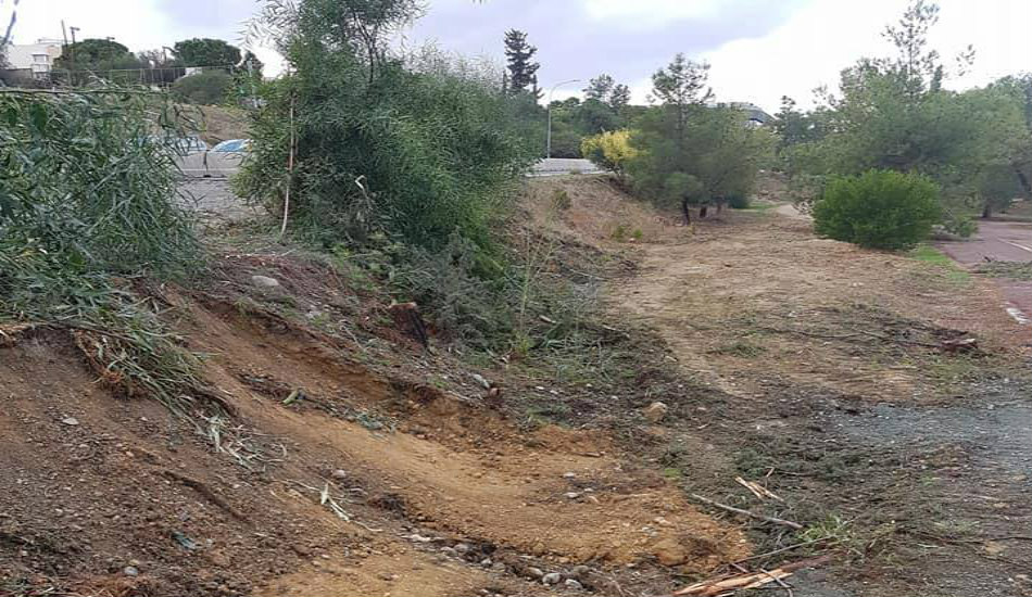 ΑΓΛΑΝΤΖΙΑ: Έκοψαν 13 δέντρα στο πάρκο Ακαδημίας- «Φωνάζει» το Κίνημα Οικολόγων- ΦΩΤΟΓΡΑΦΙΕΣ