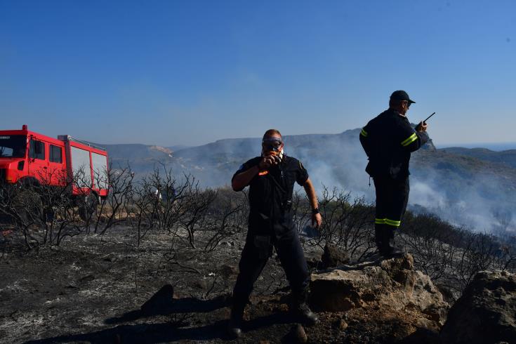 Τρία εκτάρια άγριας βλάστηση , σκύβαλα και πλαστικούς σωλήνες άρδευσης κατέκαψε πυρκαγιά στην Μαραθούντα