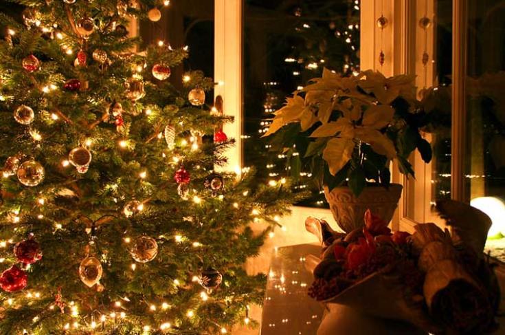 Διαγωνισμό καλύτερης Χριστουγεννιάτικης βιτρίνας προκηρύσσει ο Δήμος Λεμεσού