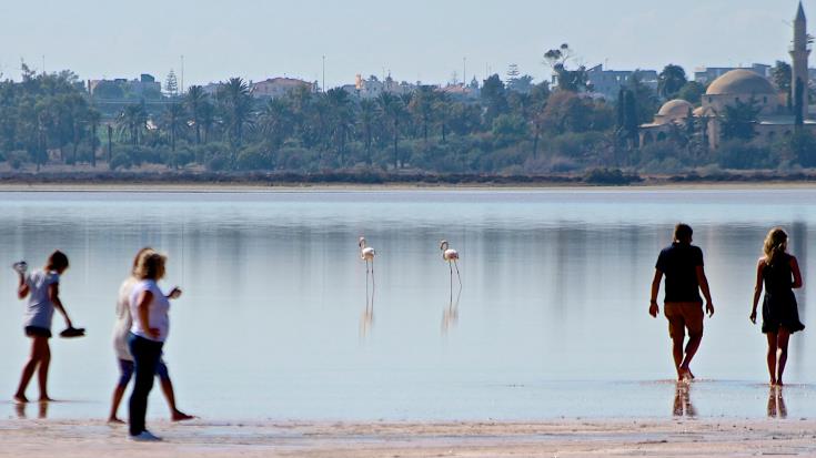 ΛΑΡΝΑΚΑ: Εκκληση στους επισκέπτες να μην ενοχλούν τα αποδημητικά πουλιά στις Αλυκές